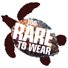 Too Rare to Wear: Stopping Illegal Trade of Hawksbill Turtle Products